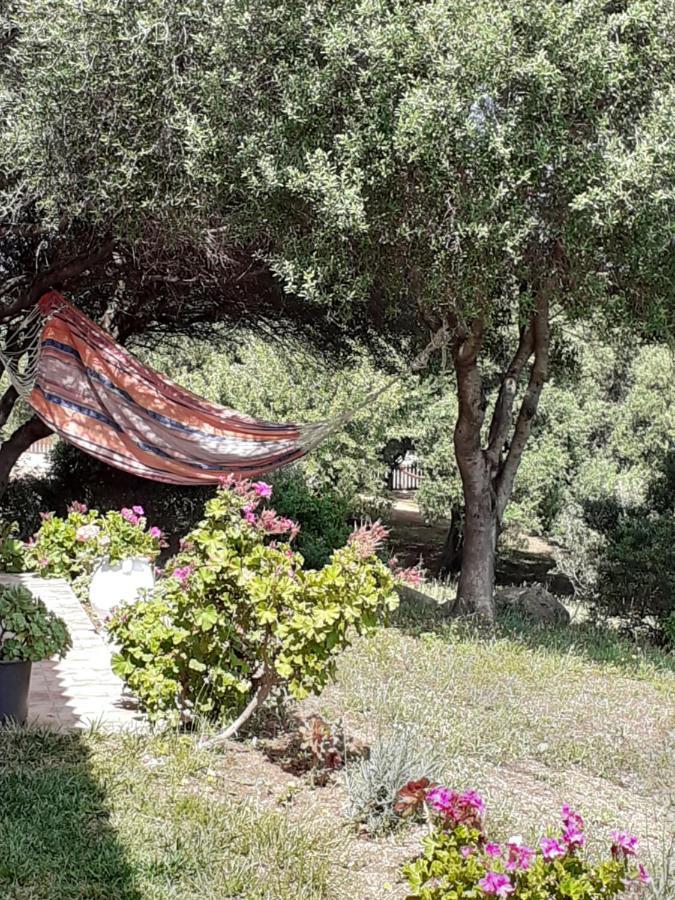 Agriturismo Gli Olivastri -Appartamento Bel Vedere Con Piscina ,Solarium E Vista Mare,Climatizzatore ,Wifi Aglientu Exterior foto